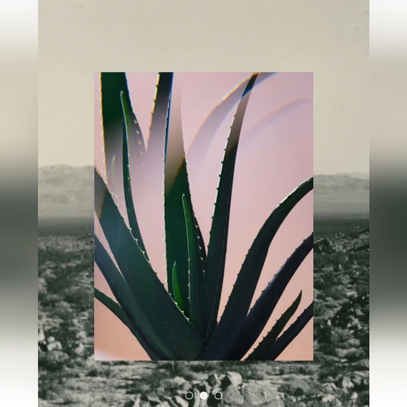 New Twentynine Palms Skincare Mesa Mystic Exfoliating Solution AHA Aloe BHA - Picture 6 of 8